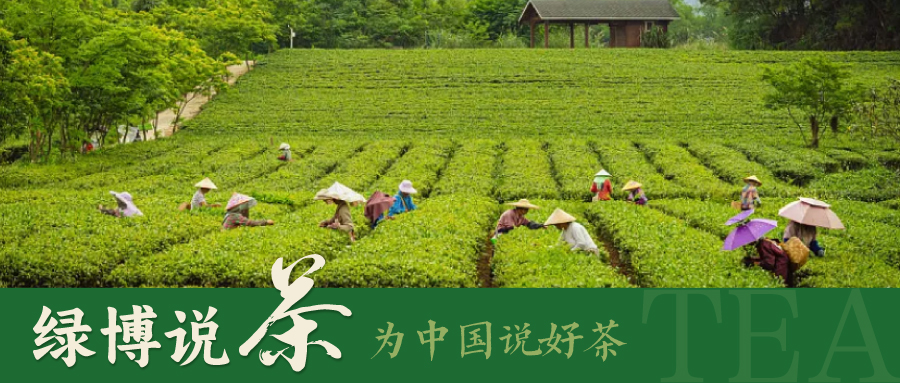 绿博说茶 | 为你揭晓2024年春夏流行的茶风味趋势