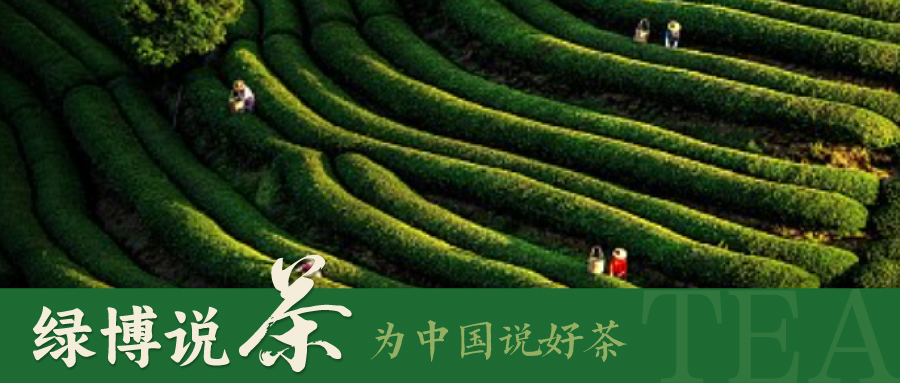 绿博说茶 | 追春茶必备干货指南：头春茶、明前茶、雨前茶…