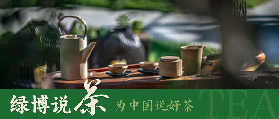 绿博说茶 | 小白也能轻松掌握泡茶技巧