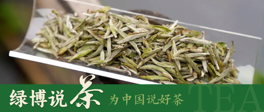 绿博说茶 | 为什么说白茶在六大茶类中比较特殊？